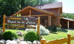 NOGAL DE LA COLINA