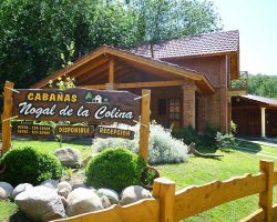 NOGAL DE LA COLINA