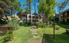 blumighotel-