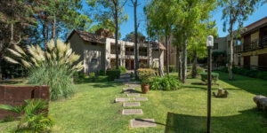 blumighotel-