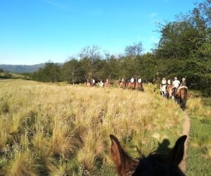 Cabalgatas Tribu Serrana