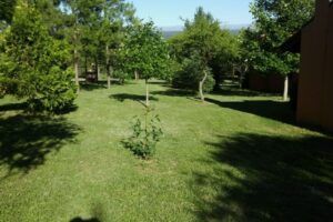 IMG-20201026-WA0031