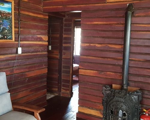 Quebracho-comedor-salamandra-1400x681