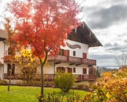 Las Verbenas Hotel