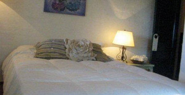 CAMA 1