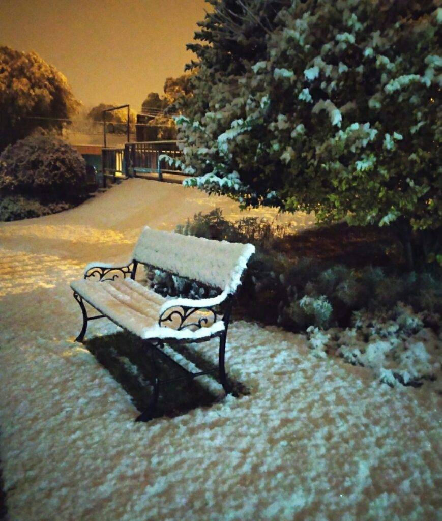 Imagen de WhatsApp 2023-04-10 a las 20.35.50