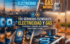 Subsidios
