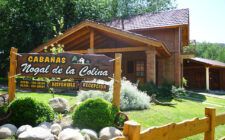 NOGAL DE LA COLINA