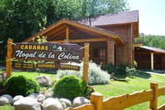 NOGAL DE LA COLINA