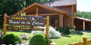 NOGAL DE LA COLINA