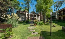 blumighotel-