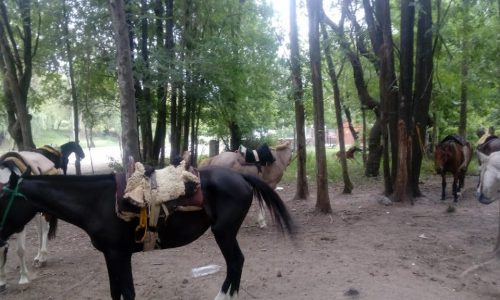 Cabalgatas en Calamuchita