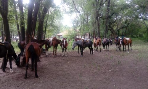Cabalgatas en Calamuchita