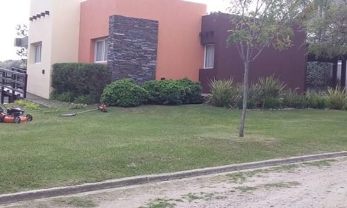 Entre Pinares de Posta Carreta