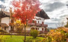 Las Verbenas Hotel